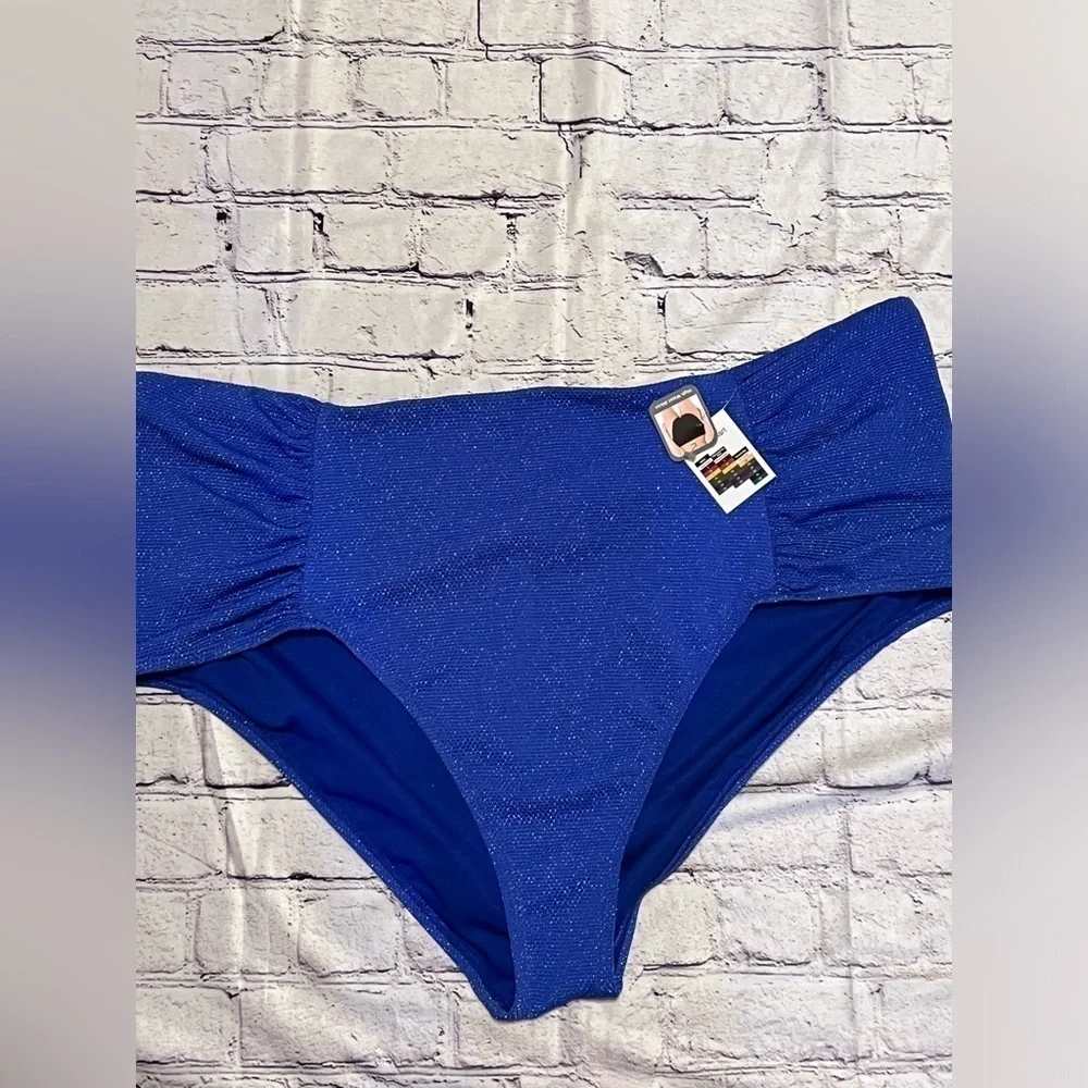 Women’s Time and Tru metallic shiny cobalt blue bikini bottom size 3x (24w-26w)